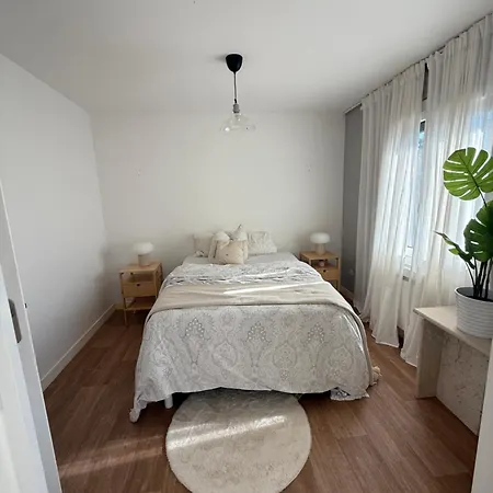 Cosy Universite Apartment